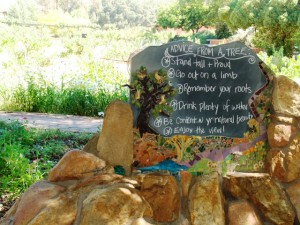 Rancho La Puerta Mosaic
