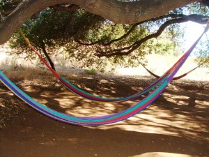 Rancho La Puerta Lazy Hammocks