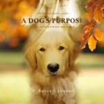 A-Dogs-Purpose-Movie-wallpaper-HD-film-2017-poster-image