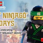 Lego Ninjago Days