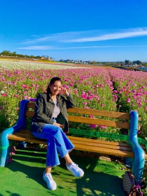 Suzette Valle Flower Fields