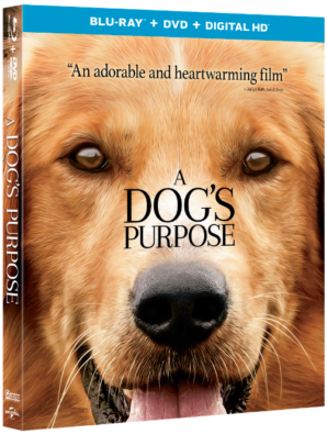 A Dog's Purpose Blu-ray, DVD, Digital HD Combo Pack