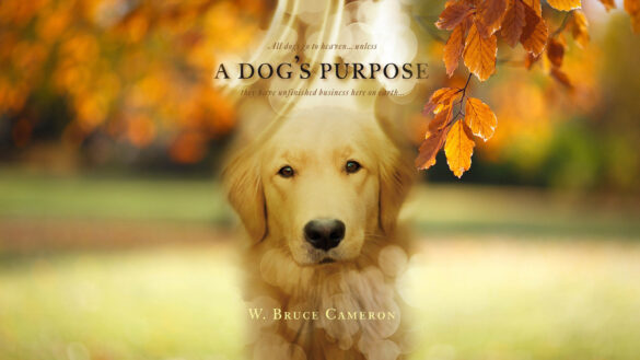 A-Dogs-Purpose-Movie-wallpaper-HD-film-2017-poster-image